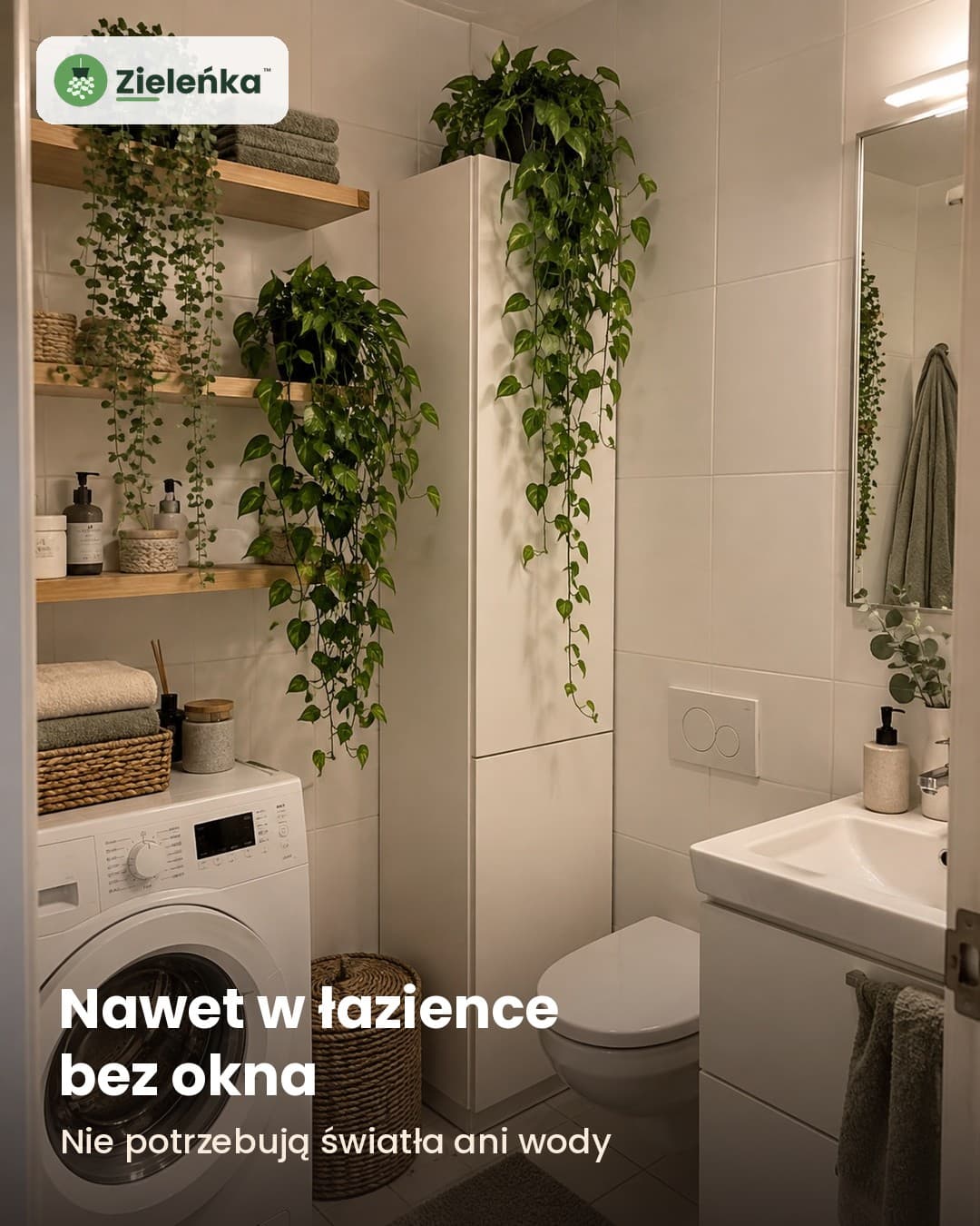Zieleńka™ – zestaw 3 sztucznych roślin wiszących