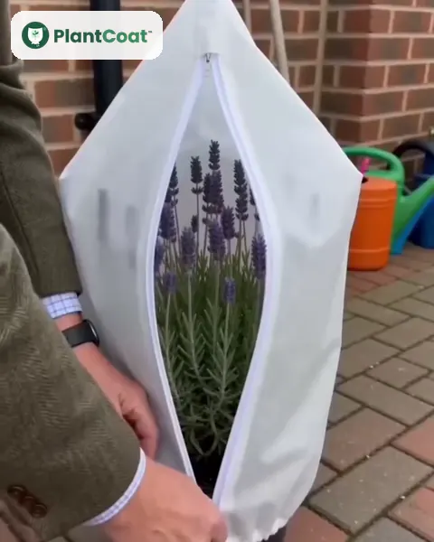 PlantCoat™ – zimowy pokrowiec na rośliny z okienkiem