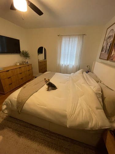 CloudRest™ – Puchata Kołdra Całoroczna