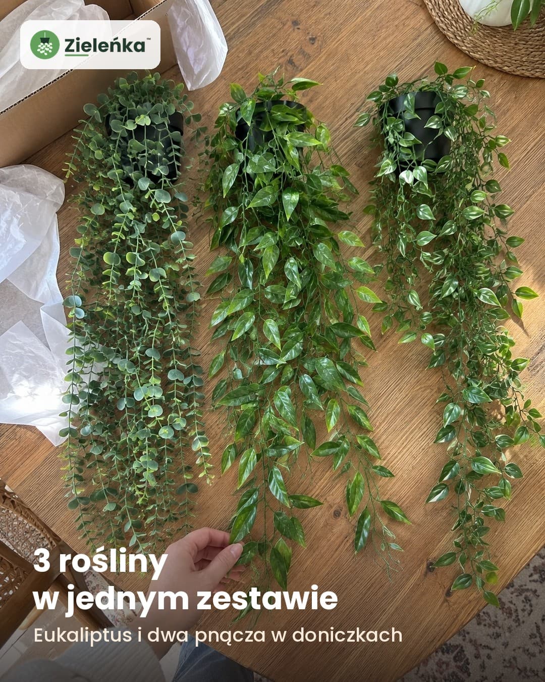 Zieleńka™ – zestaw 3 sztucznych roślin wiszących